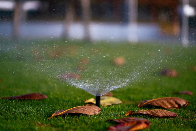 Sprinkler on green grass with some leaves
