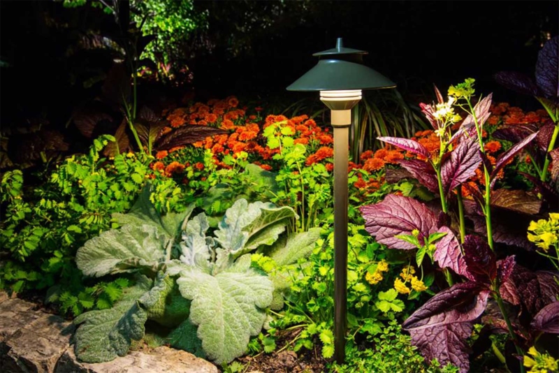 A light fixture surrounded by plants