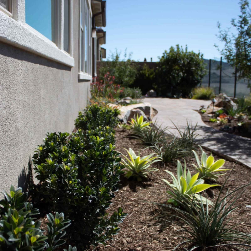 A garden with a walkway