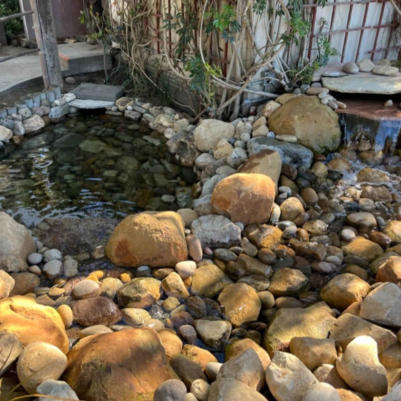 Pebbles near a pond